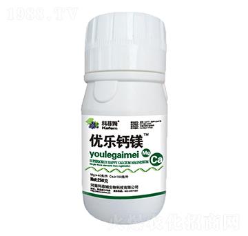 ��(y��u)��(l��)�}�V-�Ʒ�ķ