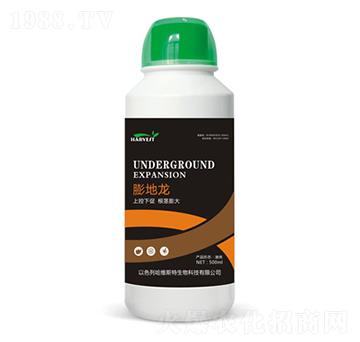 �����-���S˹�طʘI(y��)