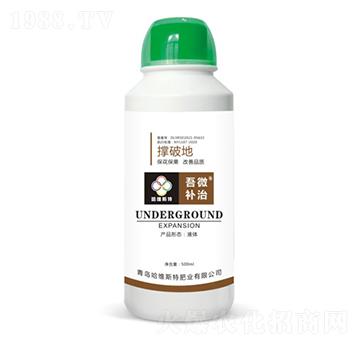 ���Ƶ�-��΢�a(b��)��-���S˹�طʘI(y��)