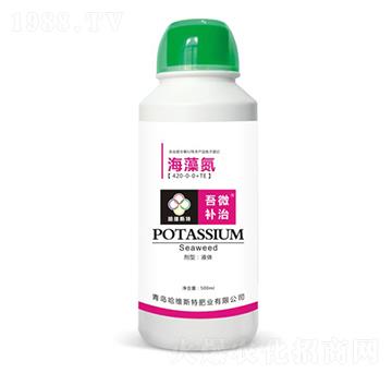 ���嵪-��΢�a��-���S˹�طʘI(y��)