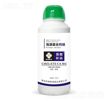 ���������}�V-��΢�a(b��)��-���S˹�طʘI(y��)