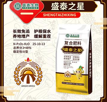 ��(f��)�Ϸ���25-10-13-ʢ̩֮��-�fͨʢ̩