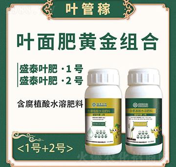 �~����S��M��-�~�ܼ�-�fͨʢ̩