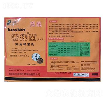 �Ⱦ���-�A�I����