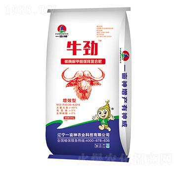 ̼ø���ȩ��ጏ�(f��)�Ϸ���