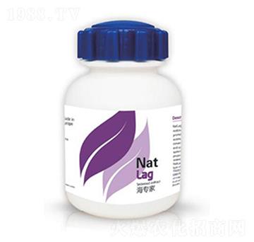 ������-�{��