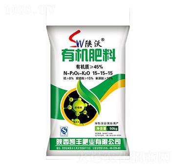 �ЙC����-�P�S�ʘI(y��)