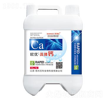 �W��(y��u)�����w�}-�f(w��n)��