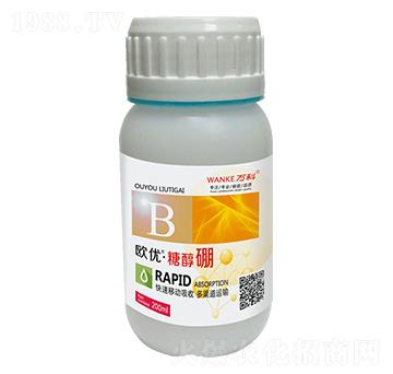 �W��(y��u)���Ǵ���-�f(w��n)��