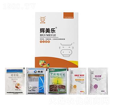 ���������o�����������ݲ�����ή���ײ�-�x����-���A����