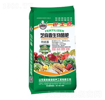 ֥�����������-��ʿ��