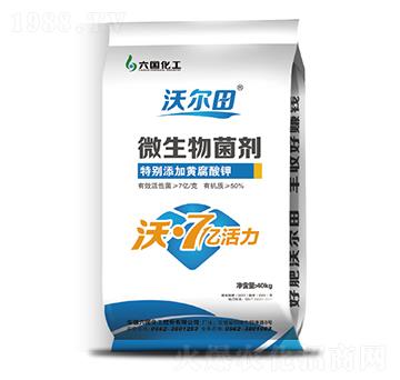 ΢�������-�֠���-����(gu��)����