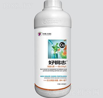 ���~־-�t����