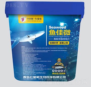 ø�⺣���~(y��)����-�~(y��)��΢-�t����