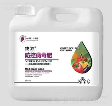 ���ز�����-�ª�(d��)-�t����