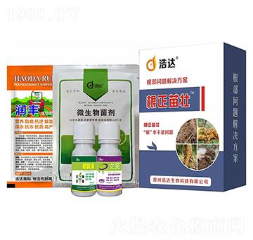 �������-���_����