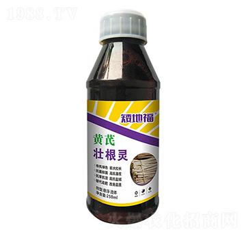 �S�ΉѸ��`-���_(d��)����