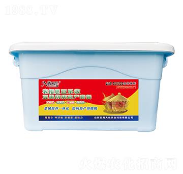 ������I�B(y��ng)�M��-�r(n��ng)��˼��������-�ƺ���