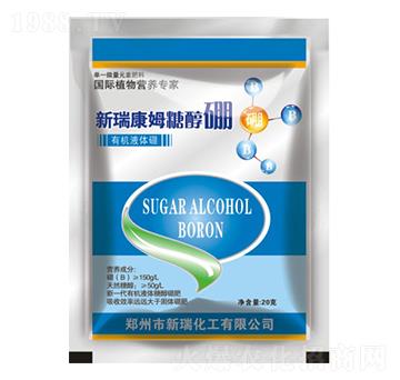 �Ǵ���-����