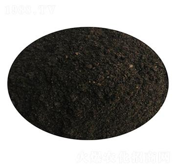 ���S-ʥ������