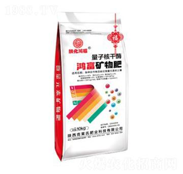 �����V���-���R��