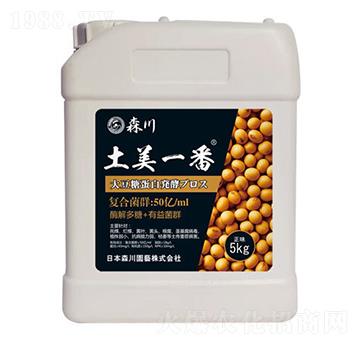 ����һ�������;���-ɭ��-����