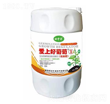 ���Ϻ�����-��������