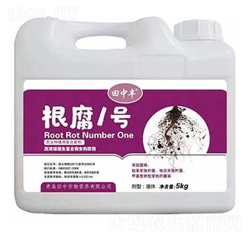 �ߝ�s������(f��)��΢�������-����1̖-��������