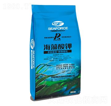 �������-�������