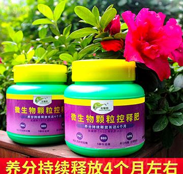 ΢�����w����ጷ�-������