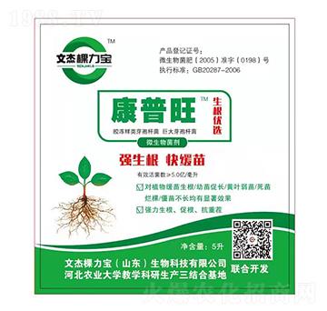 ΢�������-������-�Ľܿ�����