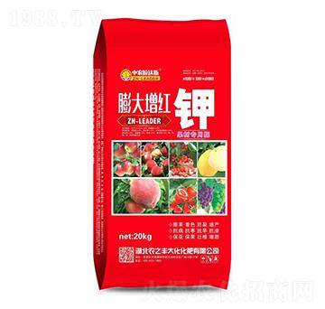 ������t�-�r(n��ng)֮�S��