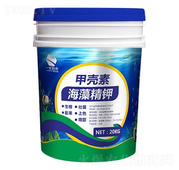 �ך��غ��徫�-һ��ꖹ�