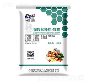 �~�F�i�\���V�f-Ӣ��(gu��)����-�տ���