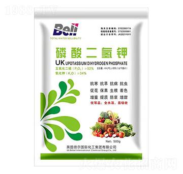 ��������-Ӣ������-�տ���