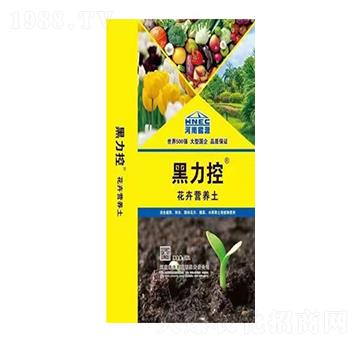 ���ܠI�B(y��ng)��-������-ԥ��ʘI(y��)