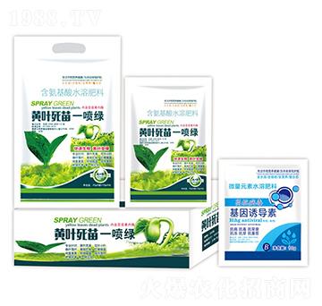 �S�~����һ���G+�����T��(d��o)��-�ֵϾ�