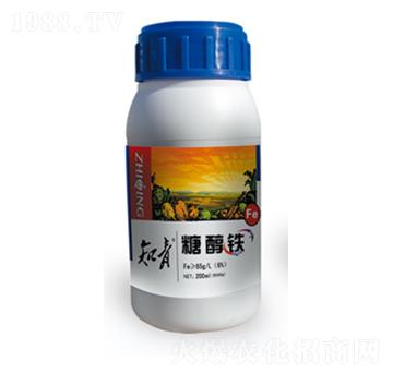 �Ǵ��F-֪��-������