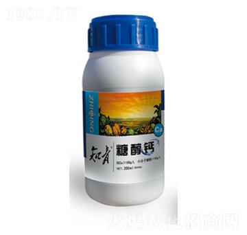 �Ǵ��}-֪��-������