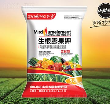 生根膨果鉀-知青-正能量