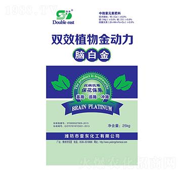 �pЧֲ�����(d��ng)��-�p�|-���|����