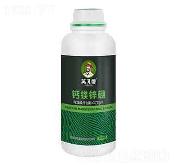 �}�V�\��-Ӣؐ��