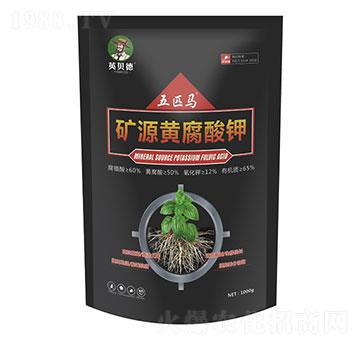 �VԴ�S�����-��ƥ�R-Ӣؐ��