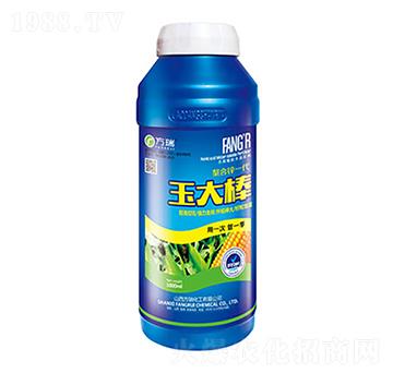 ����-����