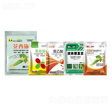 �S���r���ֱ��Q����-������A