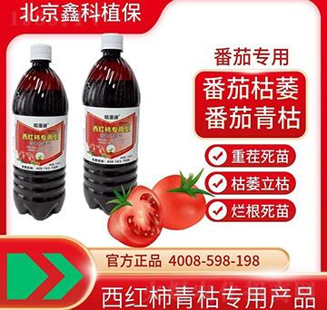 ���t��������΢�������-�ο�ֲ��