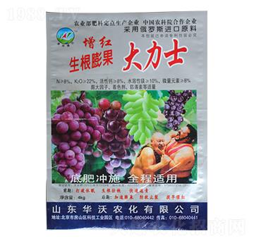 �����������ʿ-�A���r(n��ng)