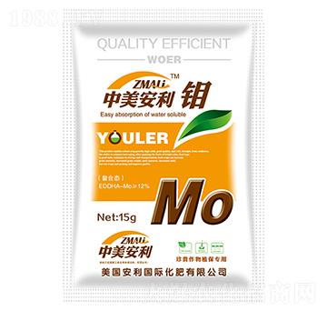 15g���������f-�֠�