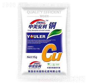 15g���������~-�֠�