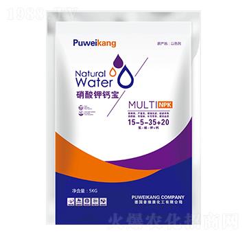 ������}��15-5-35+20-�_�_�ʘI(y��)